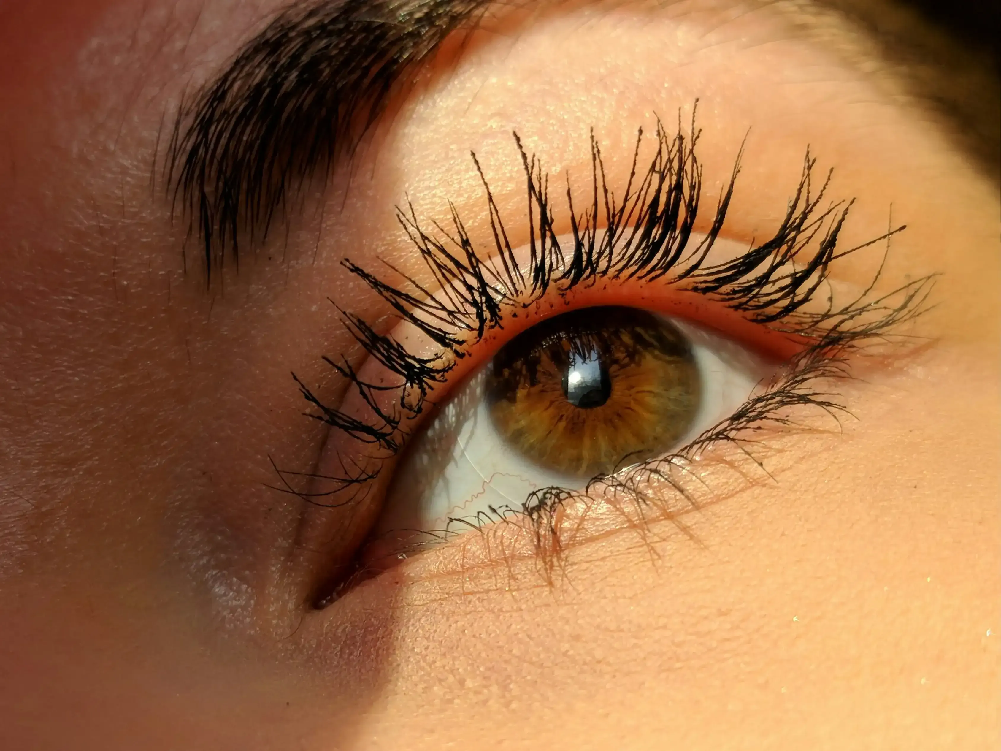 Gros plan sur un regard — cils et sourcils structurés